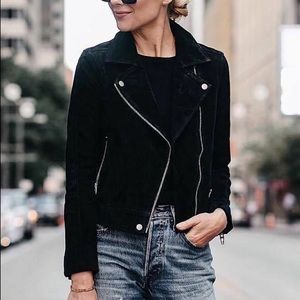 Blank NYC black suede moto jacket - like new